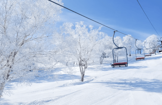 【みなかみ町スキー場共通1日リフト引換券付】スキー場が選べて便利！温泉とビュッフェで冬のみなかみ満喫
