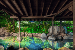 【特定日限定】い～ふろ松乃井！水上温泉とぐんまの美味を堪能！飲み放題付きビュッフェプラン