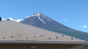 Standard Japanese-Style Room with Partial Mt.Fuji View (Max. 5 people)