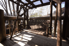 ツリーハウス風離れ