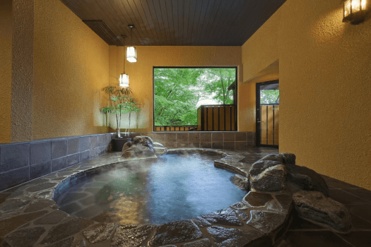 [Adult Luxury] Solo Travel Plan