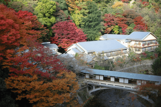 【9・10月限定価格♪】黒毛和牛小鍋付き創作和食ビュッフェをお得に☆ライブキッチンで約50種 【9・10月限定価格♪】黒毛和牛小鍋付き創作和食ビュッフェをお得に☆ライブキッチンで約50種
