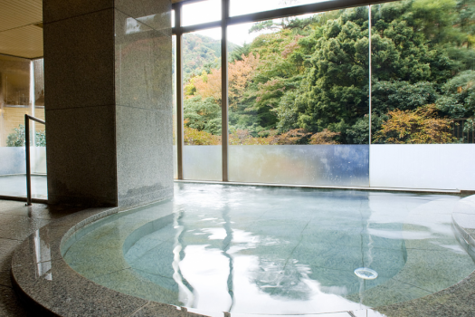 【素泊まりプラン(食事なし)】月光園 游月山荘で湯ったり素泊まり♪寛ぎのひととき♪