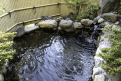 こじんまりとした露天風呂は落ち着きます