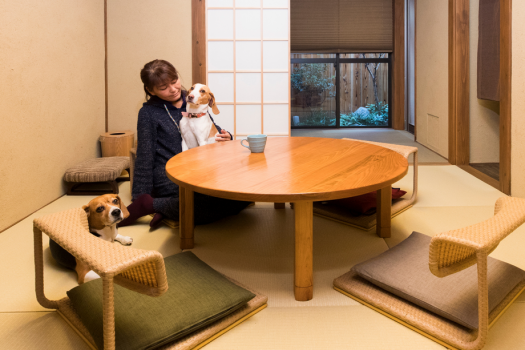 【1泊2食付き】豪華！仕出し夕会席・仕出し朝食付きプラン ペット（愛犬・愛猫）と泊まれる京町家一棟貸し（禁煙/駐車場有）