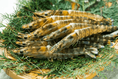 ～公式サイト5％OFF～　期間限定【姫島車えびのしゃぶしゃぶ+おおいた和牛ステーキ付】大分の島が育む味覚を（1泊2食付）