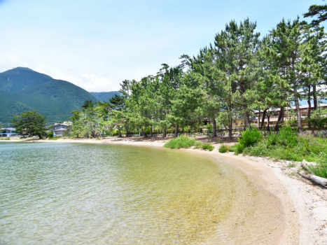 お天気の良い日はワンちゃんとご一緒に琵琶湖岸のお散歩もおすすめです。