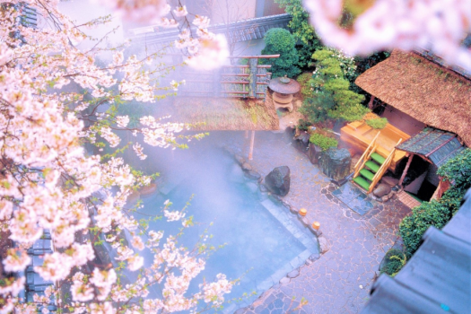 【大浴場】露天風呂　春・桜