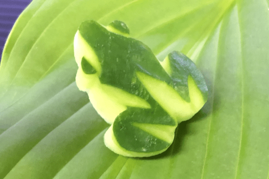 初夏の前菜には、胡瓜で作ったかえるが！　一つ一つ板場で手作りしました。