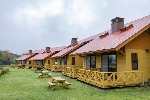 ペット同伴不可