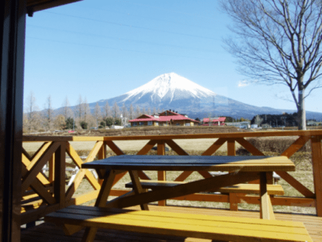 ペット同伴不可