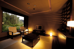 【オリエンタルモダン－215－】＜源泉かけ流し_内湯＞