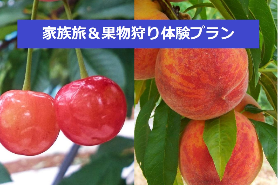 こだわり農家さんで果物狩りしませんか? こだわり農家さんで果物狩りしませんか?