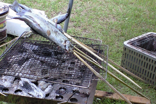 魚釣りでゲットしたニジマスを炭火焼♪