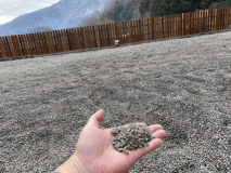 【 会場:ウエストリバー 】ディキャンプ_ドックフリーサイト