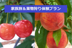 こだわり農家さんで果物狩りしませんか?
