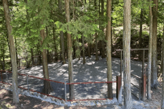 ドックフリーサイト_M type(ヒノキ林の木陰・わんちゃんのびのびフェンス付)