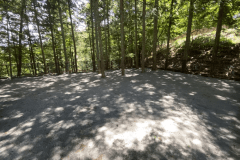 ドックフリーサイト_M type(ヒノキ林の木陰・わんちゃんのびのびフェンス付)