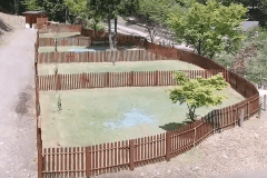 ドックフリーサイト_F type(わんちゃんのびのびフェンス付・高台ビックサイト)