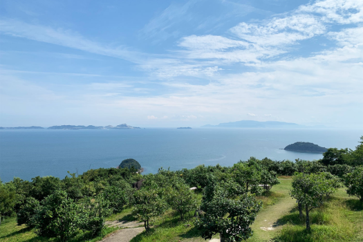 ホテル隣の椿園から見える夏の風景