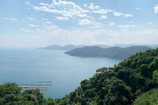 万葉の岬から見える夏の瀬戸内海