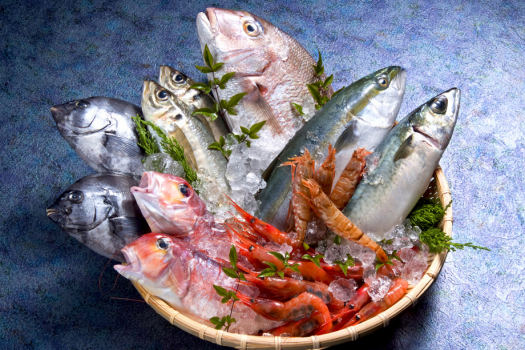 魚介類は石川県より産地直送