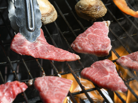 【日帰り利用】BBQデッキ　デイユース〔BBQ食材:1名様分付〕