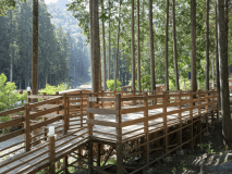 オートサイト《ペットOK》S-24