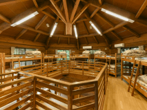 キャビン　室内(2F)