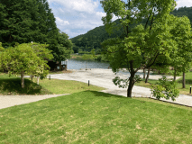 湖畔サイト《ペットOK》