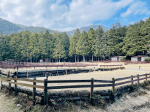 オートキャンプサイトA《S-2》