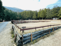 オートキャンプサイトA《S-4》