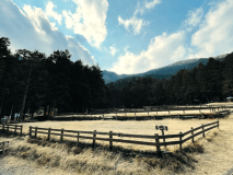 オートキャンプサイトA《S-3》