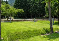 湖畔サイト　《ペット》NG