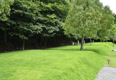 湖畔サイト《K-12》ペットOK