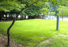 湖畔サイト《K-15》ペットOK