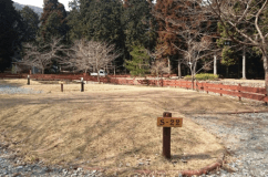 タイプC　ペットOK