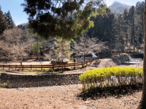 タイプC ペットOK