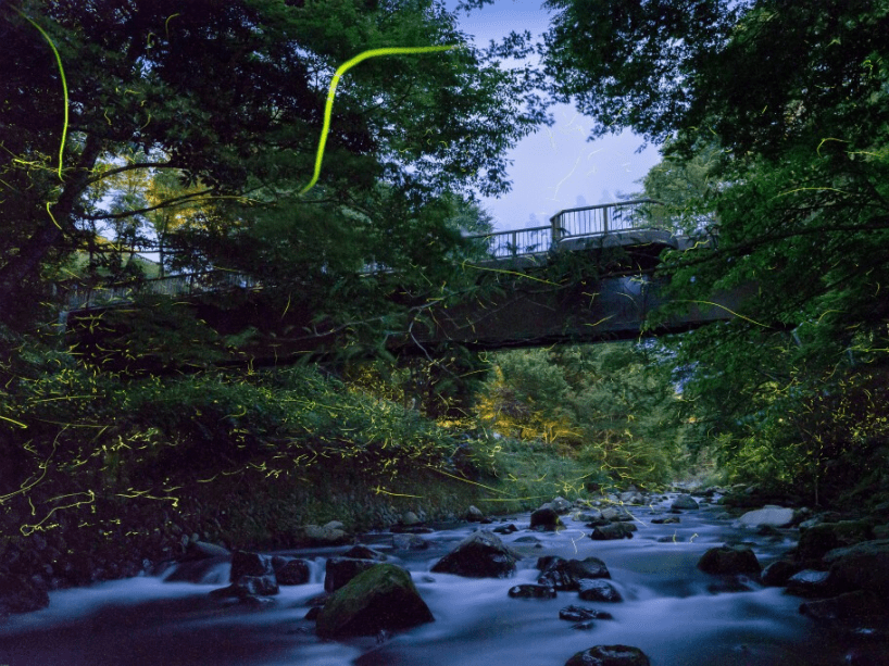 ≪終了まぢか&times;ほたるバス≫超ロングラン【無料ほたるバス＆軽め会席プラン】自慢の地酒付き