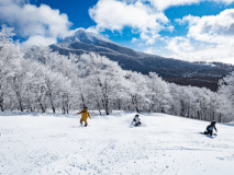 【リフト券付／夕食基本膳】ネコマ マウンテン☆スキーも！ボードも！温泉で冬満喫♪