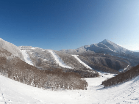 【リフト券付／夕食ビュッフェ】ネコマ マウンテン☆スキーも！ボードも！温泉で冬満喫♪