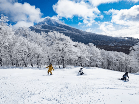 【リフト券付／夕食ビュッフェ】ネコマ マウンテン☆スキーも！ボードも！温泉で冬満喫♪