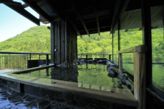 【0泊夕食】手ぶらでOK！お部屋+夕食+温泉で癒される　滞在時間11：00～21：00