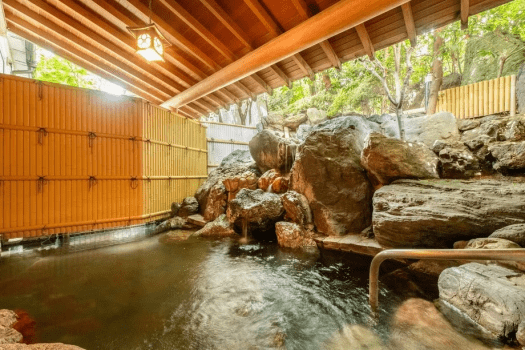 1 night and 2 meals, Echizen local kaiseki plan, room with 2 beds available