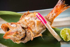 のどぐろ塩焼き:高級魚として扱われている『のどぐろ』をシンプルにお愉しみいただけます。 のどぐろ塩焼き:高級魚として扱われている『のどぐろ』をシンプルにお愉しみいただけます。