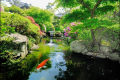 【庭園】よく手入れされた日本庭園の間を縫うように離れが続く…