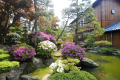 【庭園】＜ツツジ＞春の庭園の一風景。