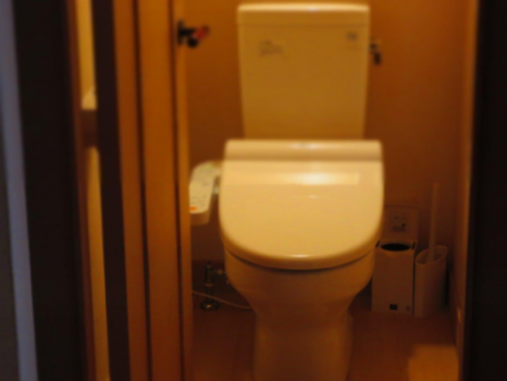 A大 松川を望む和室 トイレ付きファミリールーム リバービュー A大 松川を望む和室 トイレ付きファミリールーム リバービュー