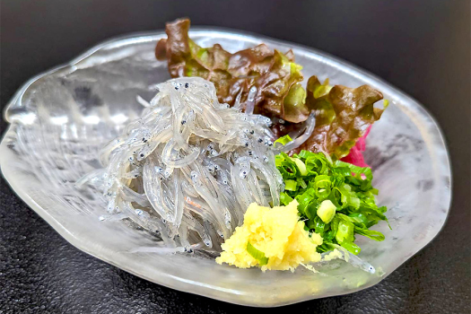 駿河湾の海の幸を堪能！