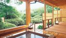 Japanese-style room in the west annexe with garden and rotemburo